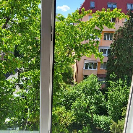 Apartament Florilor Baia Mare Esterno foto
